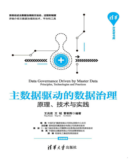 《主数据驱动的数据治理——原理、技术与实践》 王兆君 & 王钺 & 曹朝辉 epub [19.15 MB]