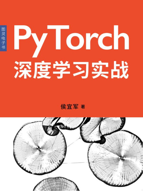 《PyTorch深度学习实战》 侯宜军 epub [1.06 MB]