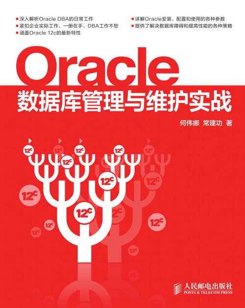《Oracle数据库管理与维护实战（异步图书）》 何伟娜 & 常建功 epub [51.23 MB]